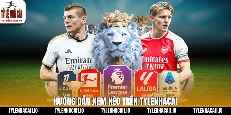 Hướng dẫn xem kèo trên tylenhacai